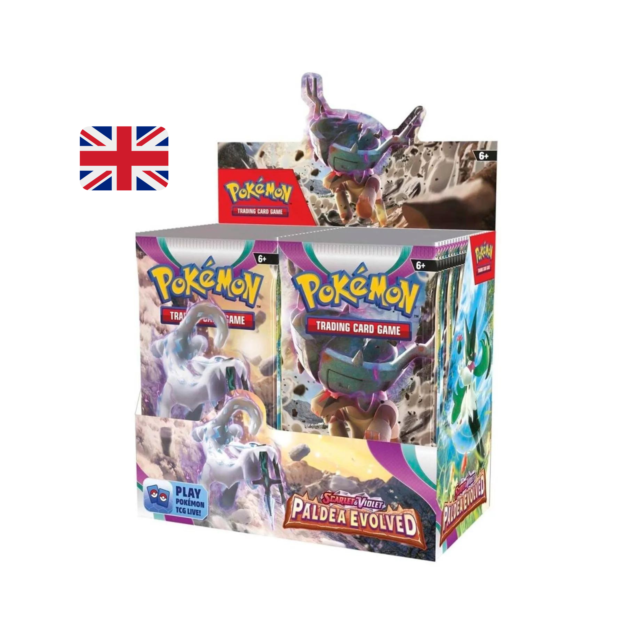 Pokemon Paldea Evolved Booster Display